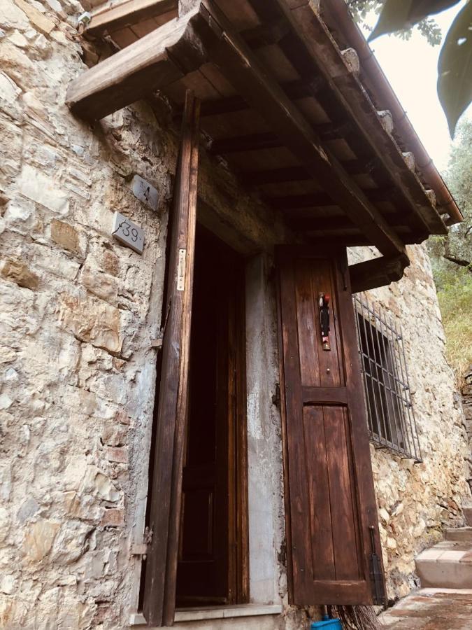 Mea Casa Toscana Castellina in Chianti Bagian luar foto