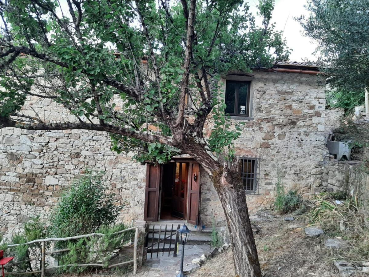 Mea Casa Toscana Castellina in Chianti Bagian luar foto