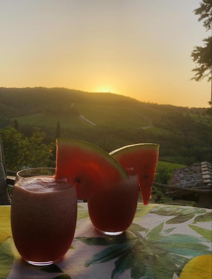 Mea Casa Toscana Castellina in Chianti Bagian luar foto