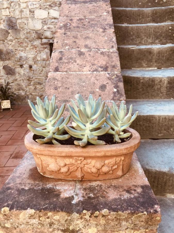 Mea Casa Toscana Castellina in Chianti Bagian luar foto